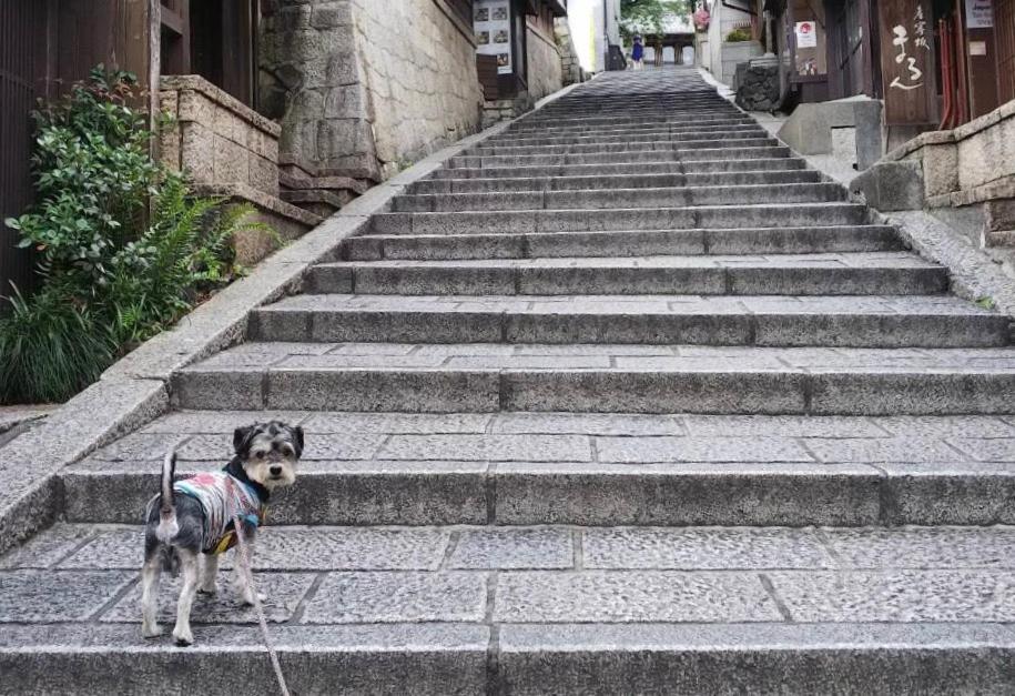 Hanakiya Kyoto Luaran gambar